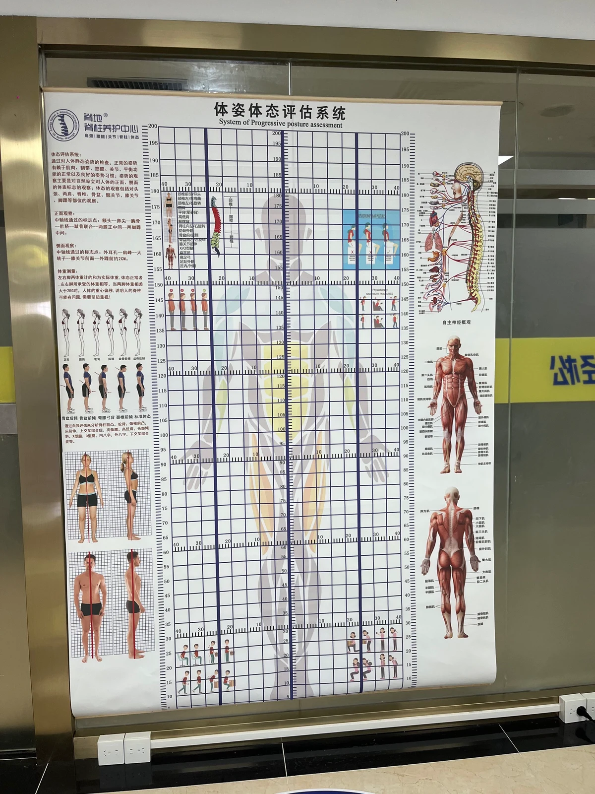 篮球青训营中的体能训练方案有哪些?_0
